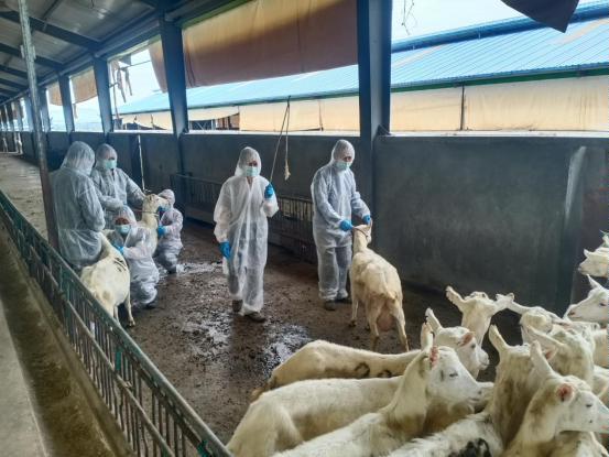 千阳县畜产局再获省级荣誉，产业兴旺助力乡村振兴