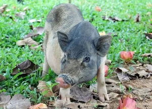 不只是海浪沙滩 海鲜大排档与往返机票千元起