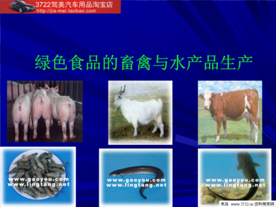 绿色食品的畜禽与水产品生产