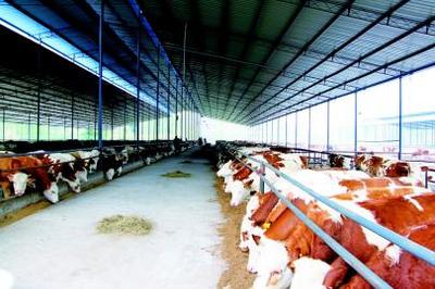 畜禽废弃物再利用 宣汉开辟绿色发展之路